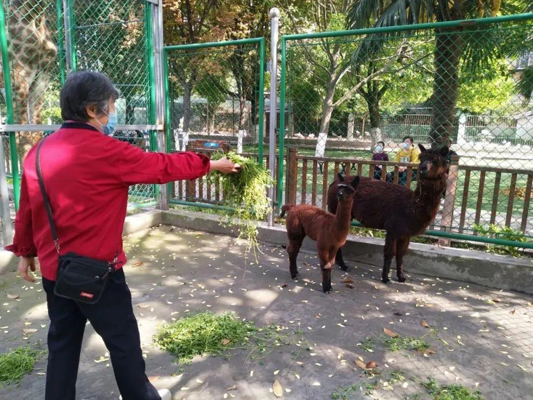 常州暂改风波，一场关于城市名与文化认同的探讨