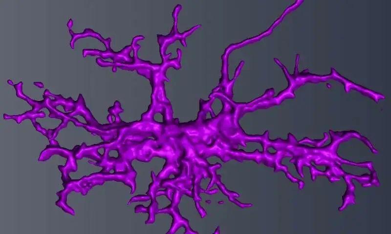 女孩高考优势大数据解析，性别差异下的教育成果与潜力挖掘