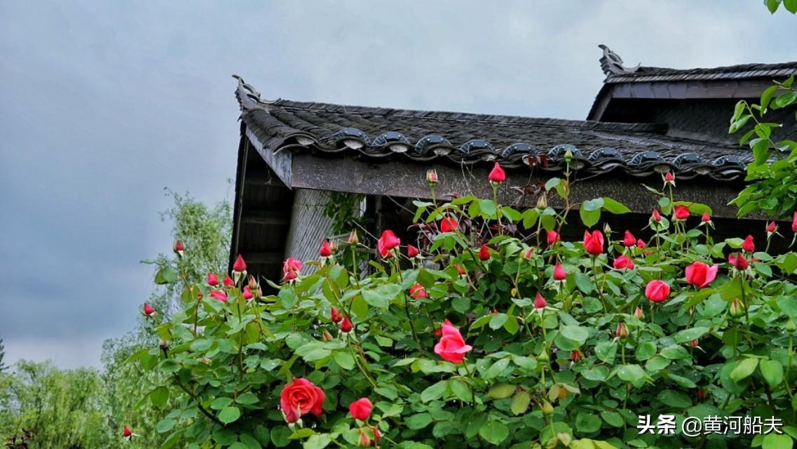 湖北之花,探寻那些令人惊艳的绝美花卉 湖北之花,探寻那些令人惊艳的绝美花卉