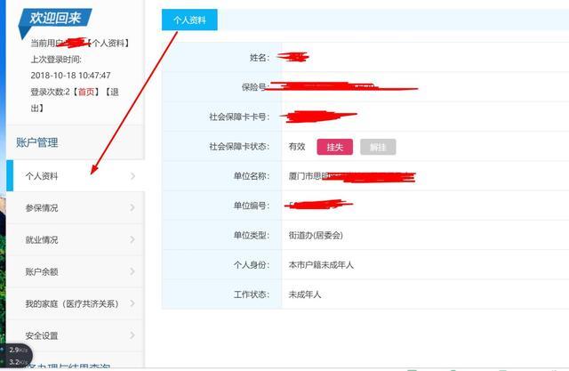 保险与社保查询指南，轻松掌握个人保障信息
