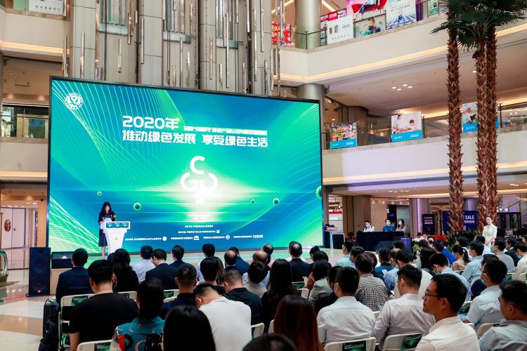 电动汽车车牌号，未来出行的绿色标识