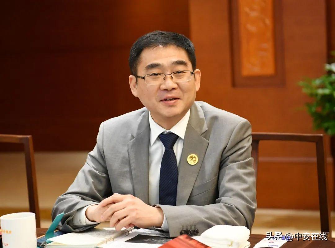 浙江新能源在南陵县的绿色崛起,共绘绿色发展新蓝图 浙江新能源在南陵县的绿色崛起,共绘绿色发展新蓝图