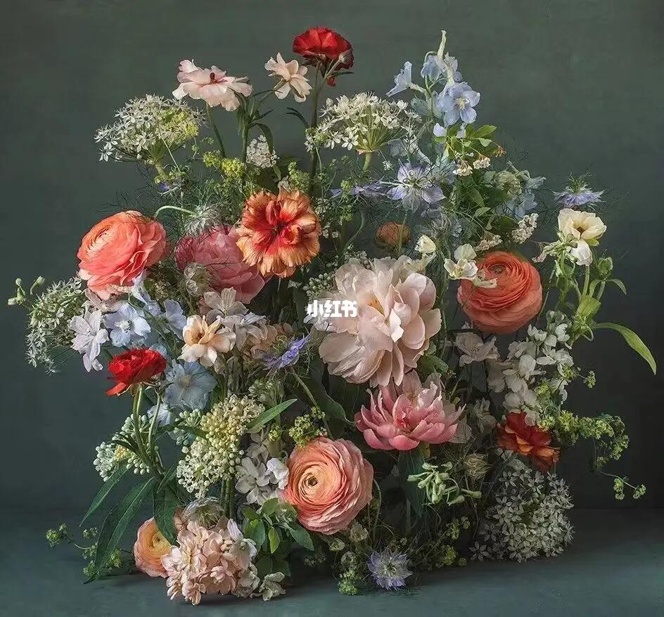 荷氏花卉，自然之美的艺术展现