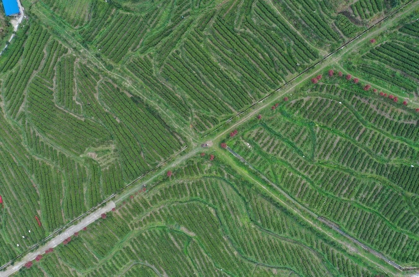 湖南健康社区课程，打造健康生活的绿色引擎