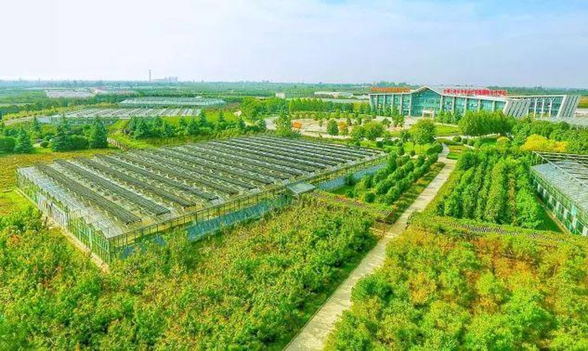 探秘杨凌，一个农业科技高地的归属与管理