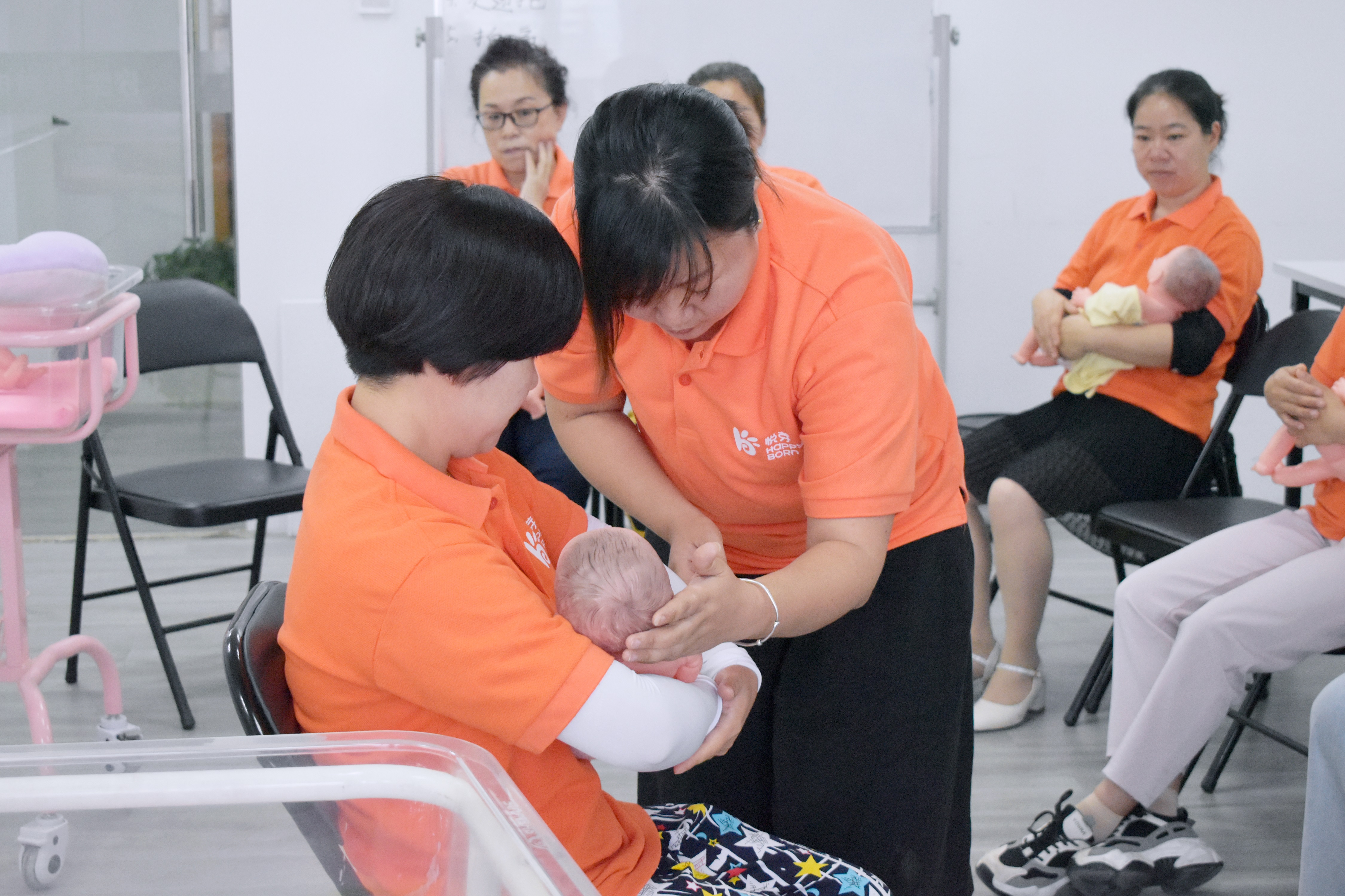 浙江早教保姆家政公司的兴起与影响