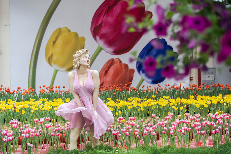 青州花卉花厅，绽放的色彩与文化的交响