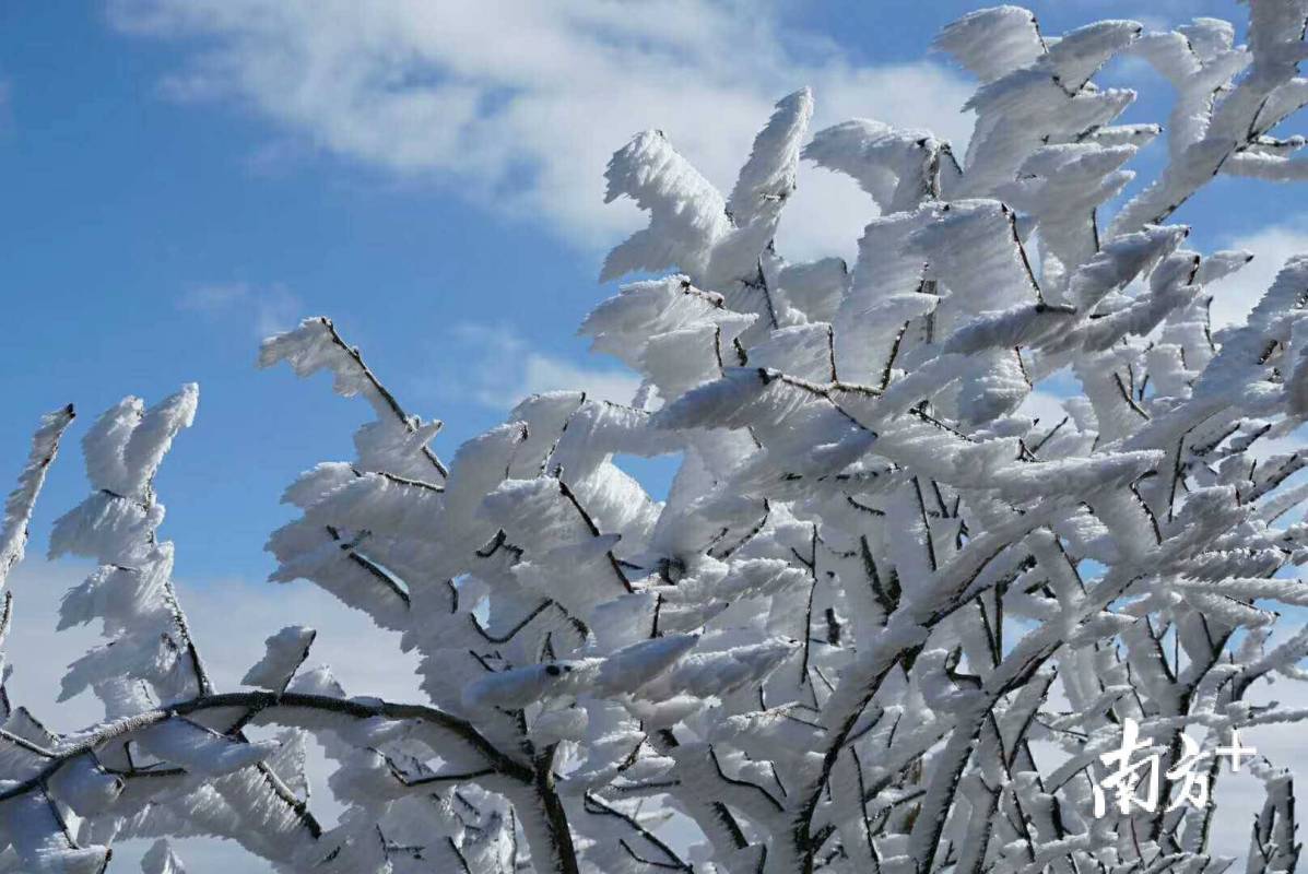 广东冬天天气的独特魅力