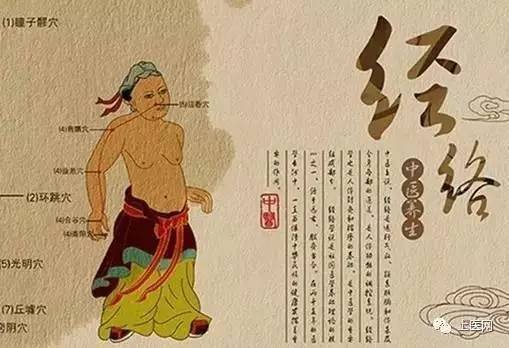 经络健康讲座方案，解锁身体自愈的秘密