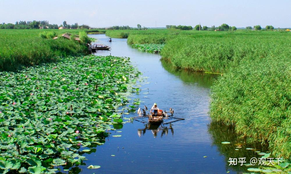 探索白洋淀周边的隐秘瑰宝，自然与人文的双重盛宴