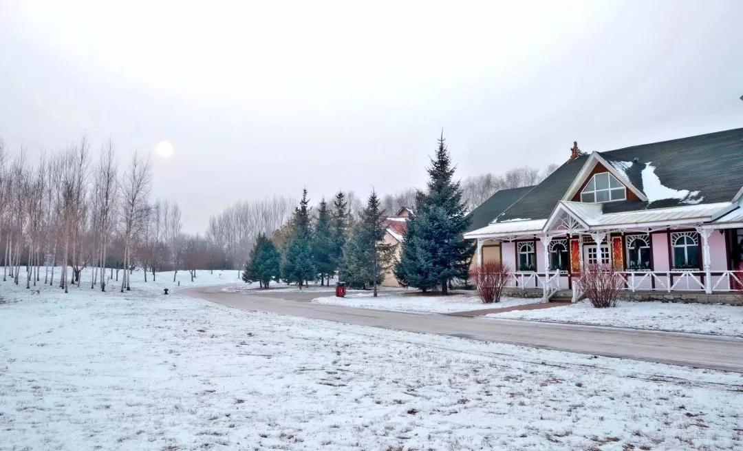 哈尔滨大雪预警,银装素裹下的城市守护与温情 哈尔滨大雪预警,银装素裹下的城市守护与温情