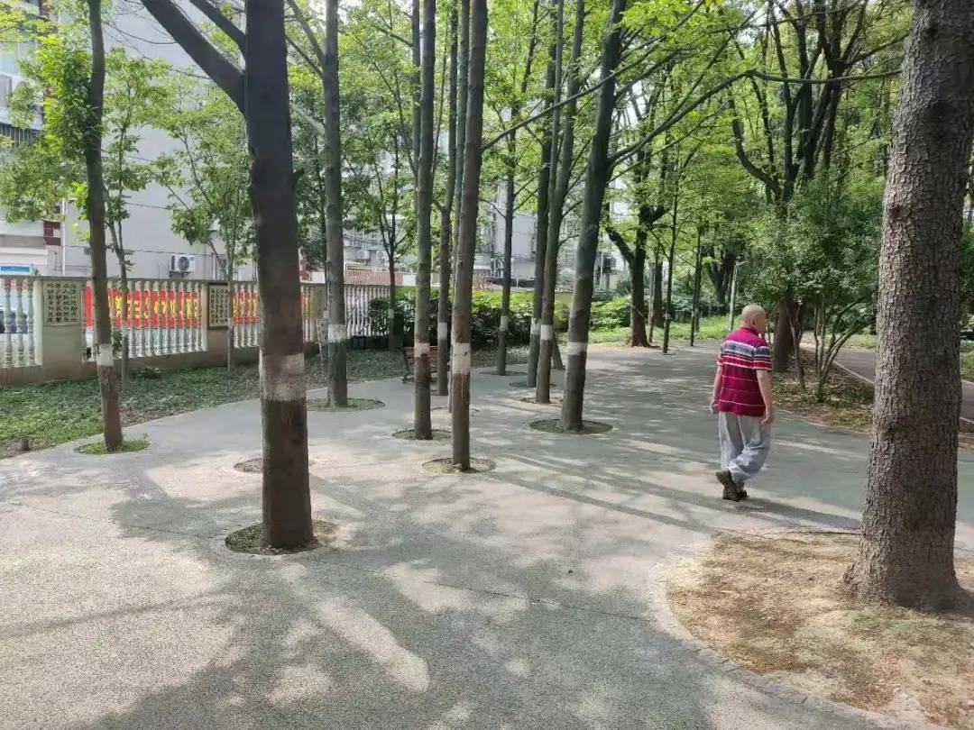 衡阳,查看健康码,守护健康出行 衡阳,查看健康码,守护健康出行