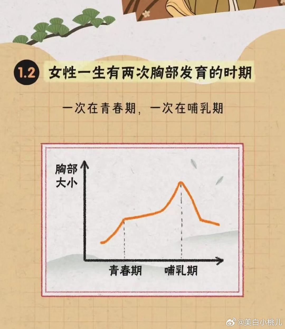 女性胸部发育的全面指南，健康与成长的奥秘