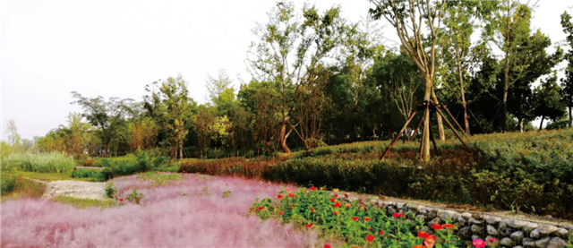 花卉的类别，从自然之美到文化内涵的深度探索