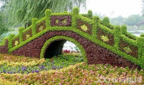 园艺专业,在自然与艺术的交响中播种希望 园艺专业,在自然与艺术的交响中播种希望