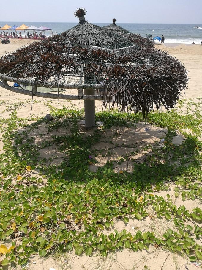 春节海陵岛自由行攻略，寻味南国风情，共赏海天一色