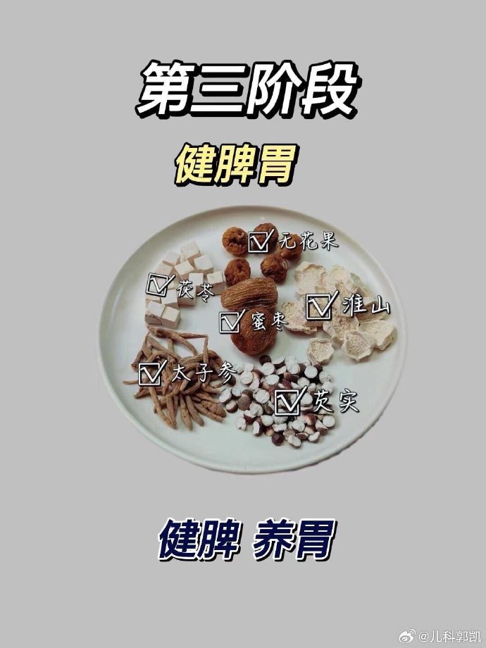 健脾胃，健康之路的基石