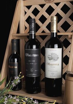 北京，品味红酒的醇香之旅，最佳购酒指南