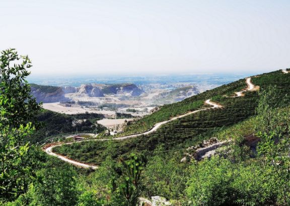 临猗北辛,四季分明的天气画卷 临猗北辛,四季分明的天气画卷