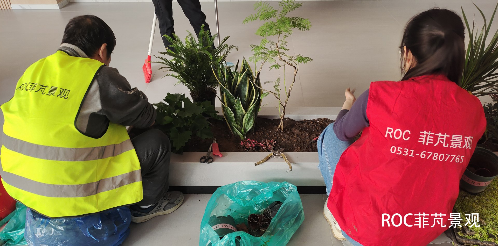 绿意盎然,高淳区绿植花卉养护厂商的生态守护者角色 绿意盎然,高淳区绿植花卉养护厂商的生态守护者角色