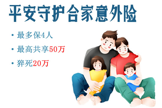 安心综合意外保险,守护您与家人的安全网 安心综合意外保险,守护您与家人的安全网