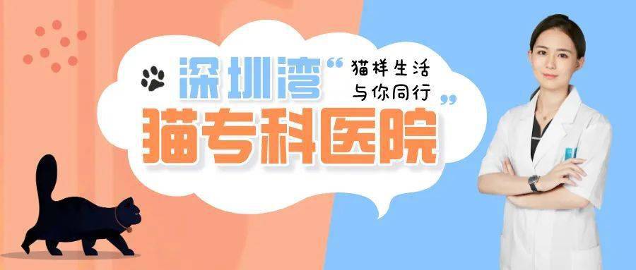 深圳买隔离保险,安心之选,为健康护航 深圳买隔离保险,安心之选,为健康护航