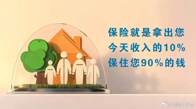 喜爱保险的熊,在保障中寻找安心与乐趣 喜爱保险的熊,在保障中寻找安心与乐趣