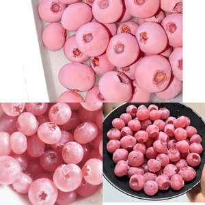 粉色蓝莓，天价背后的甜蜜与争议