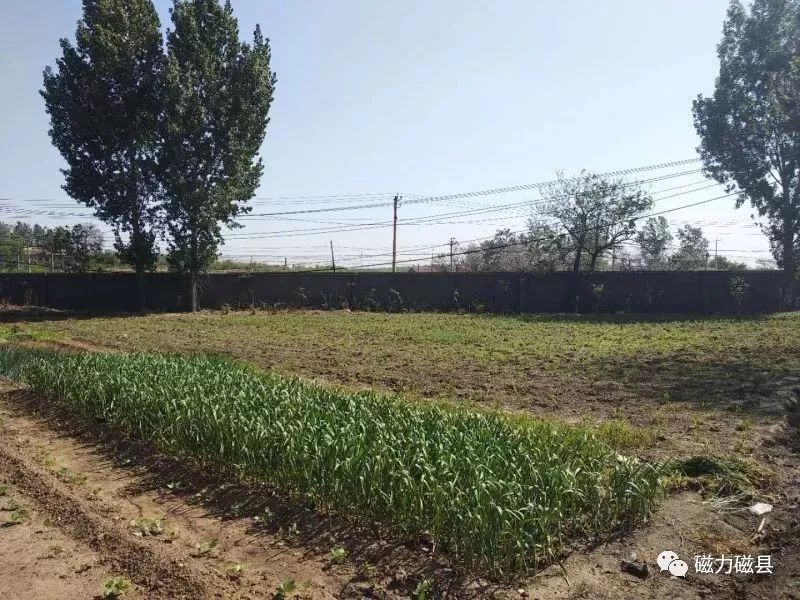 山西蒲县煤矿的绿色转型，从传统开采到绿色装修的华丽蜕变